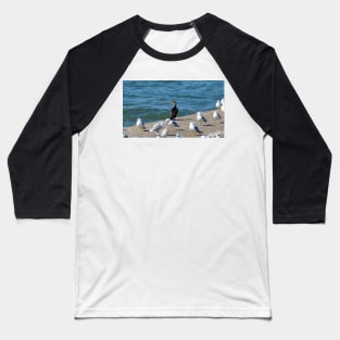 Double-crested Cormorant and a Flock Of Gulls Baseball T-Shirt